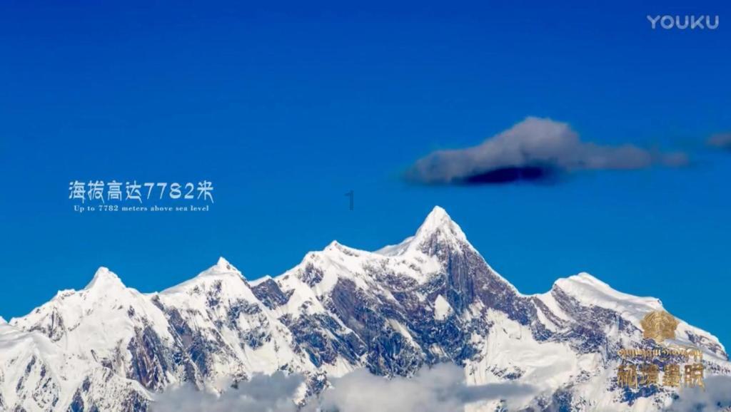 累计赔付6347万元，提供10926人次理赔服务——新华保险临沂中支发布2023年度理赔服务报告